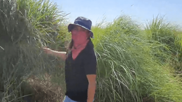 Former ‘talahiban’ in Brgy Sampot, Paniqui, Tarlac now an eight-tonner ...