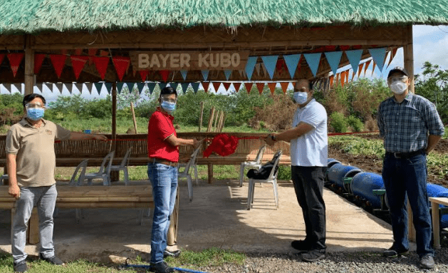 Bayer Puts Up Community Vegetable Farm In Calauan, Laguna, Partners ...